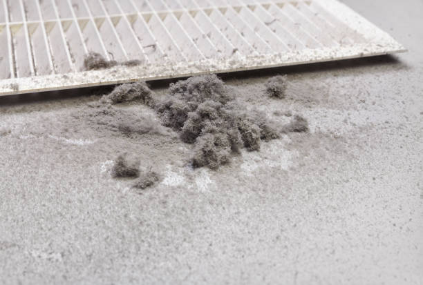 Best Dryer Vent Cleaning Services  in Oakland City, IN